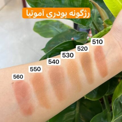 رژگونه پودری آموتیا سواچ